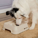 Comedouro para cachorro Weasy