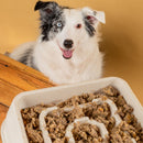 Comedouro para cachorro Weasy