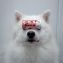 Weasy Balm | Hidratante pet