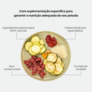 Weasy Food Adultos | Alimentação natural para cães