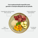 Weasy Food Adultos | Alimentação natural para cães