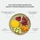 Weasy Food Adultos | Alimentação natural para cães